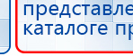 СКЭНАР-1-НТ (исполнение 02.2) Скэнар Оптима купить в Мурманске, Аппараты Скэнар купить в Мурманске, Дэнас официальный сайт denasolm.ru
